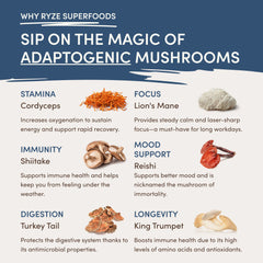 RYZE Nighttime Mushroom Cocoa Starter Bag G0