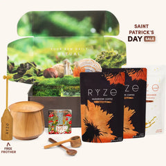 Mushroom Coffee Ritual Set E6
