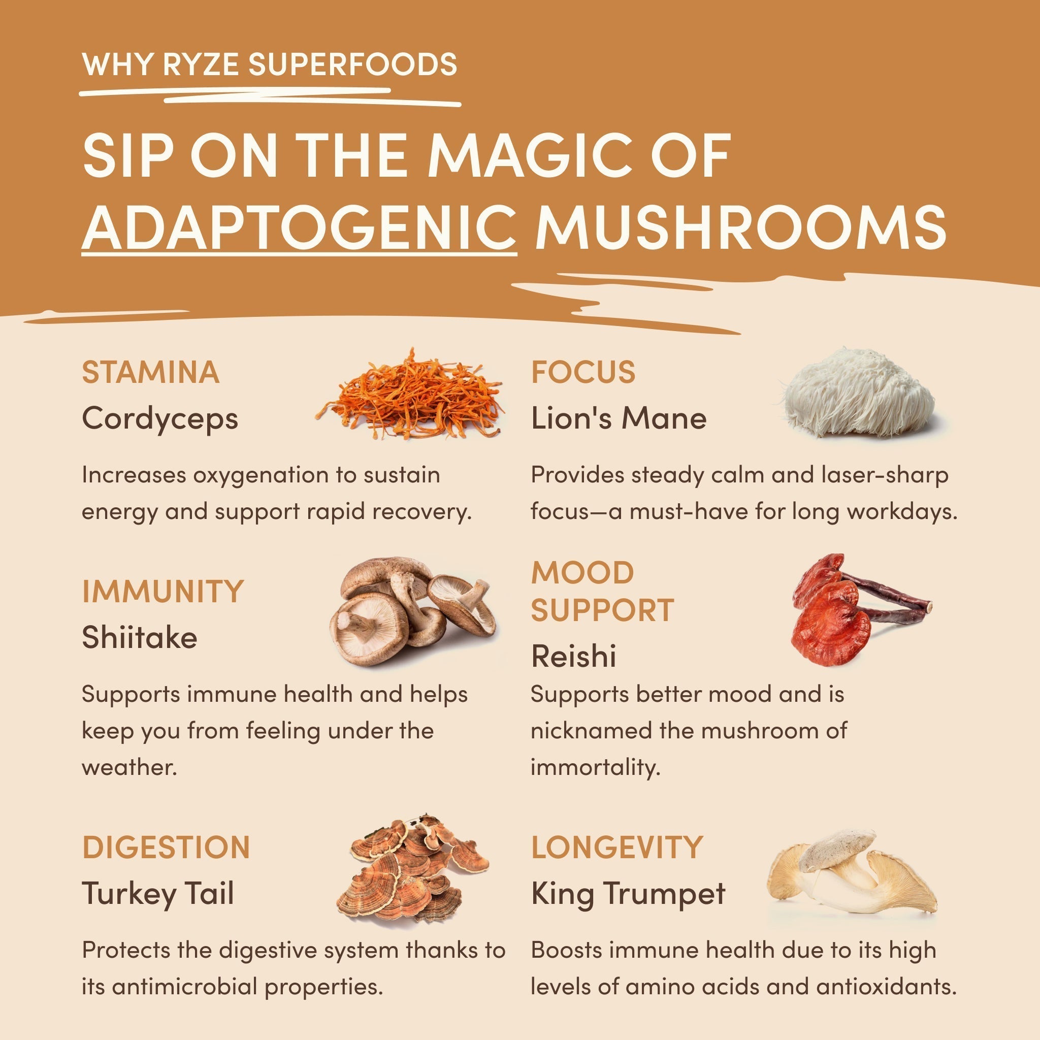 Mushroom Overnight Oats (14 Servings) A8