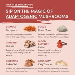 Mushroom Chai (20 Servings) J0