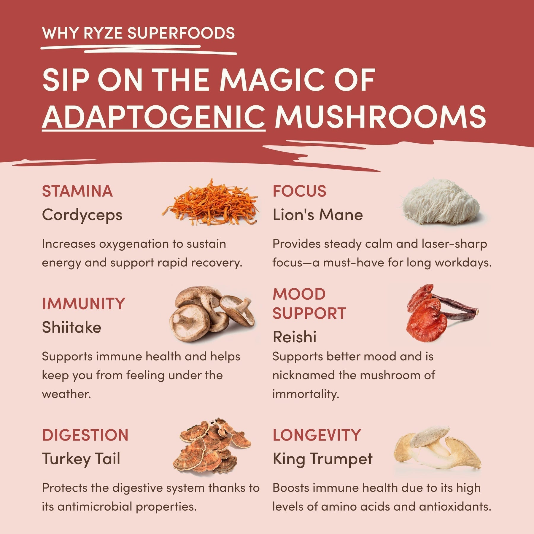 RYZE Mushroom Chai — Organic Instant Chai with Reishi & Organic Black Tea, 20 Servings Q7