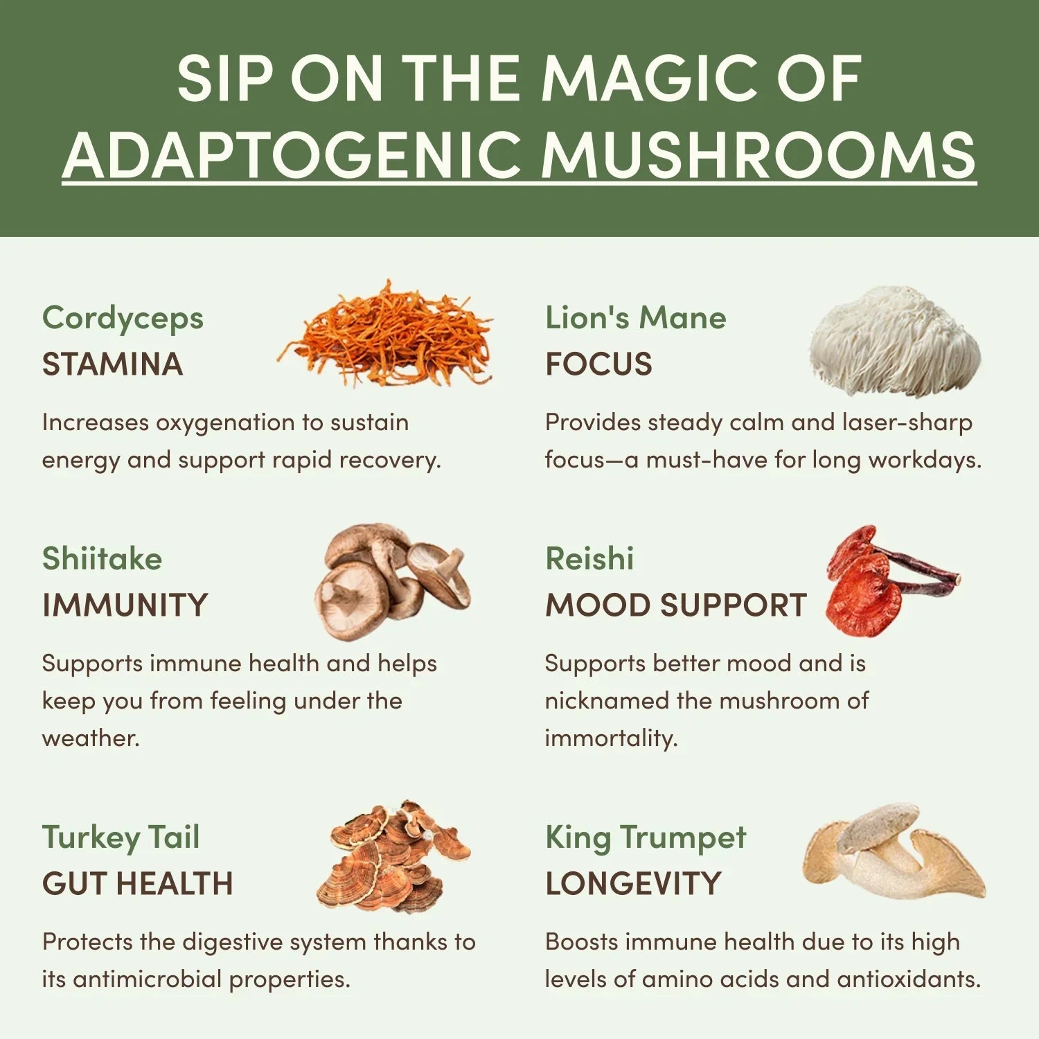 Mushroom Matcha (30 Servings) G2