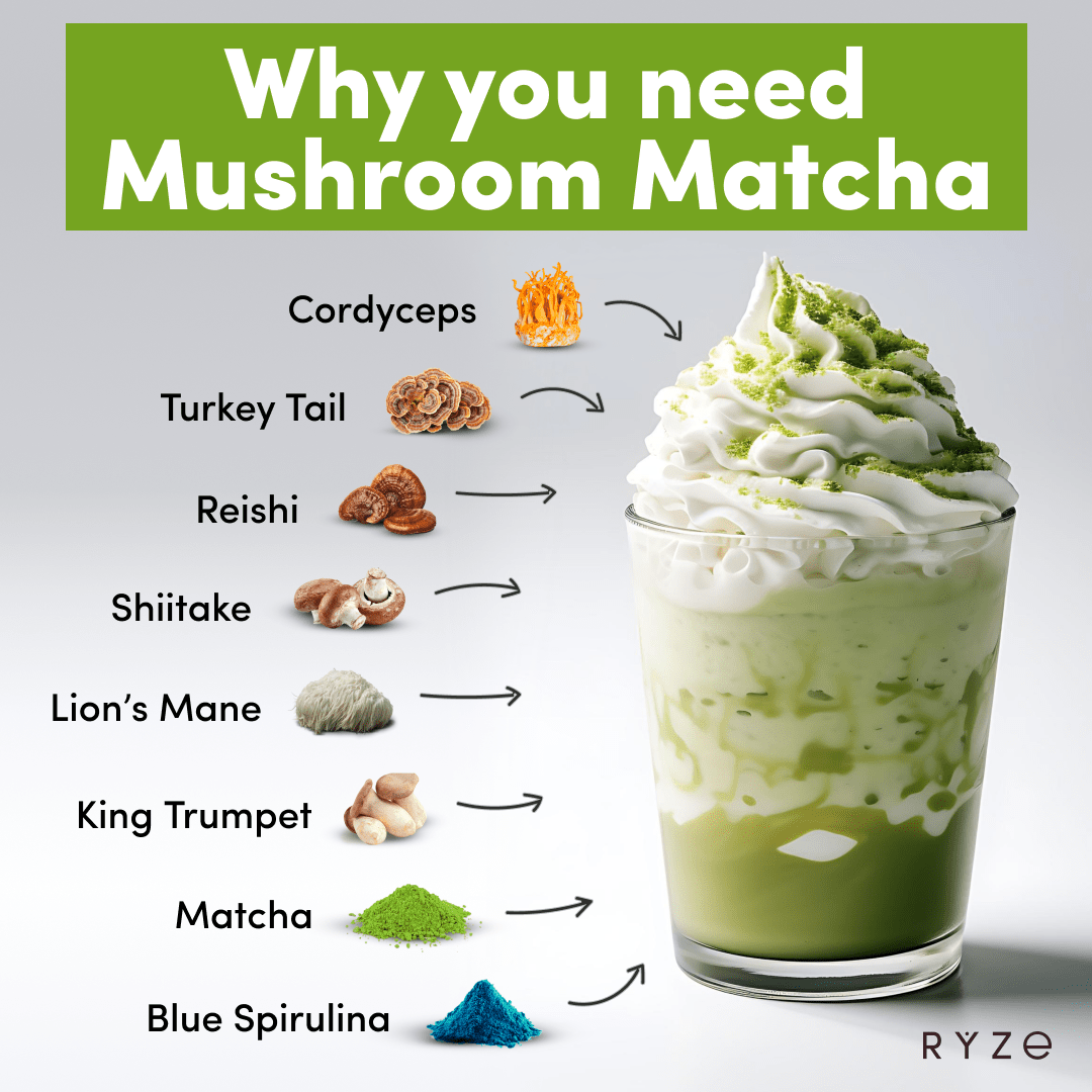 RYZE Mushroom Matcha - with 6 Organic Adaptogenic Mushrooms Grown In USA and Ceremonial-Grade Japanese Matcha G5