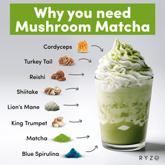 RYZE Organic Mushroom Matcha Starter Kit (60 servings) X9